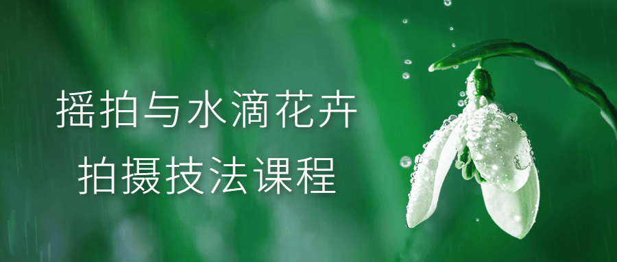 摇拍与水滴花卉拍摄技法课程-全面游戏